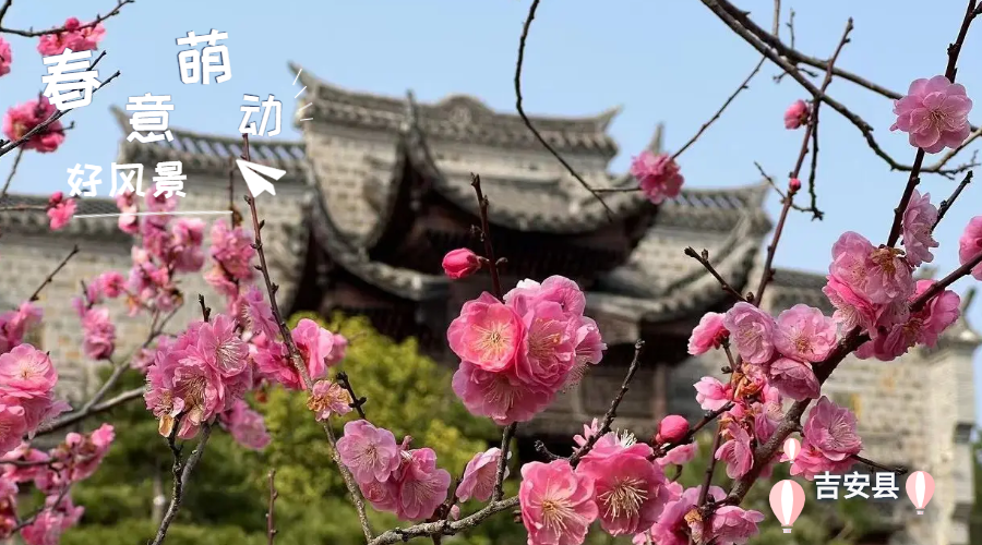 ce9e609a0ac550148a321e0b91248466_20230223ea73309476bb4c69b2cf3965326140e1_202302231557356253rId8image5.png ce9e609a0ac550148a321e0b91248466_20230223ea73309476bb4c69b2cf3965326140e1_202302231557356253rId8image5.png