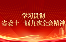 學(xué)習(xí)貫徹省委十一屆九次全會(huì)精神